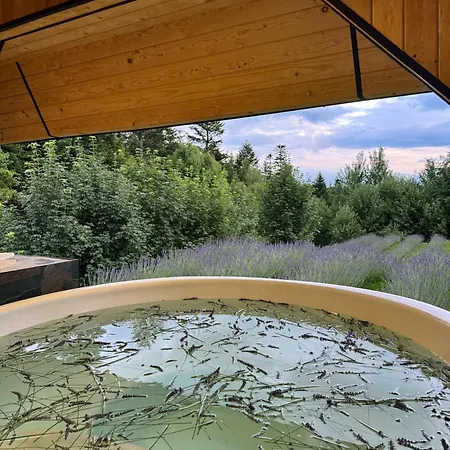 Hebanowe Villa Zaluczne